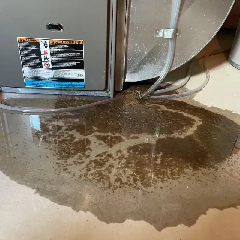 Appliance Leak Cleanup in Spring Valley, CA